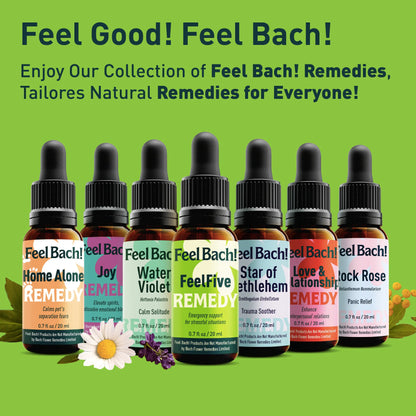 Feel Bach! Flower Questionnaire - Your personal blend