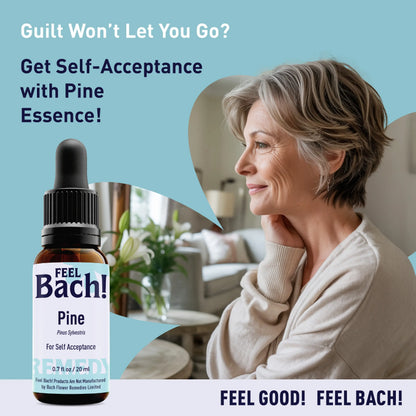 Pine Flower Essence