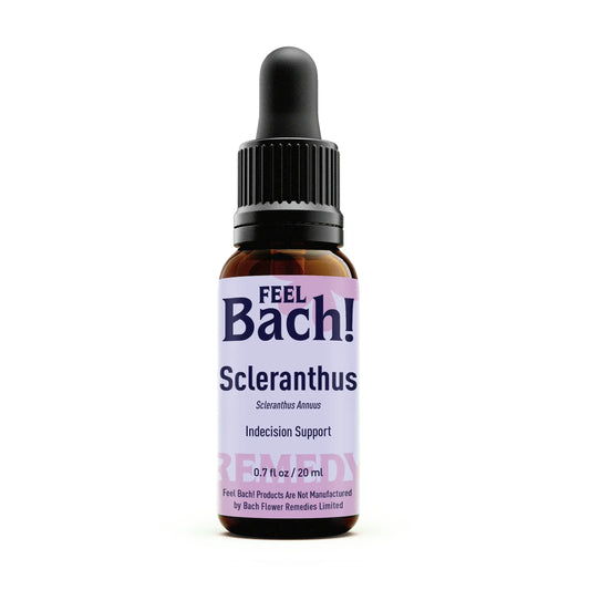 Scleranthus
