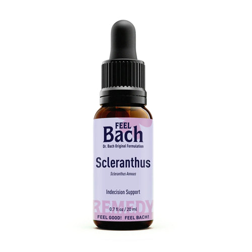 Scleranthus