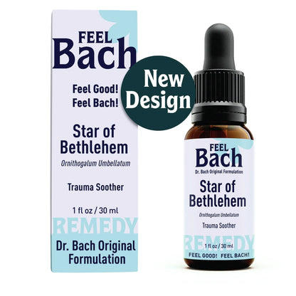 Star Of Bethlehem flower essence