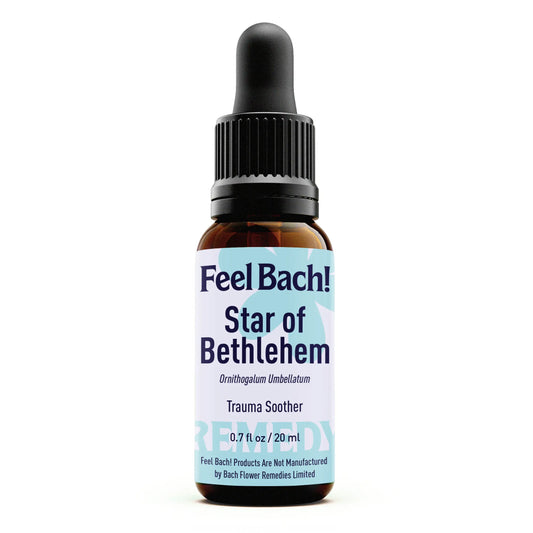 Star Of Bethlehem Flower Essence