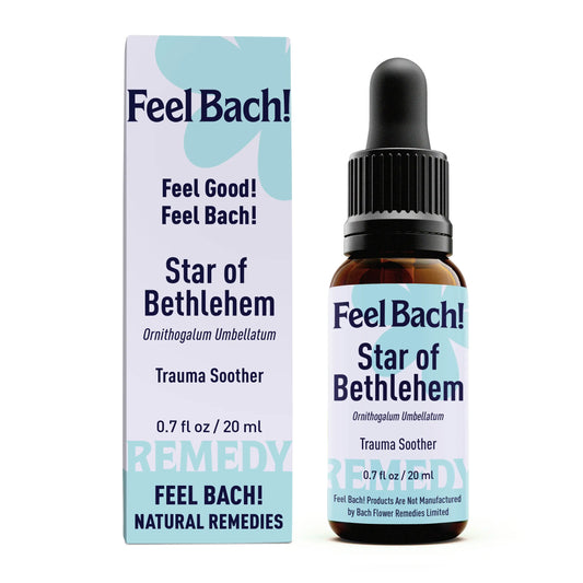 Star Of Bethlehem Flower Essence