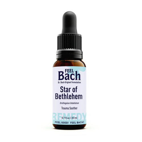 Star Of Bethlehem flower essence