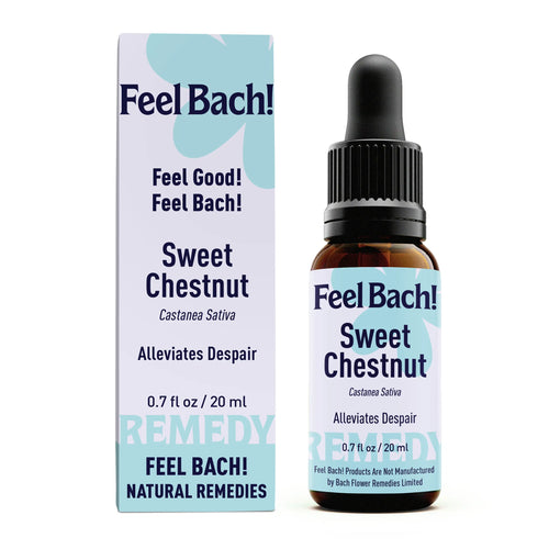 Sweet Chestnut Flower Essence
