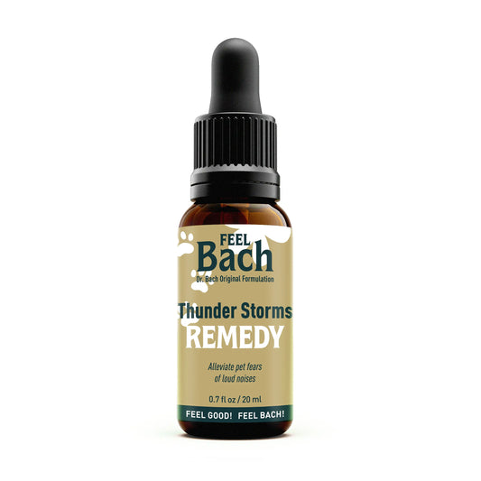 Thunder Storms
