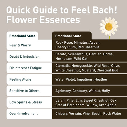 Vervain Flower Essence