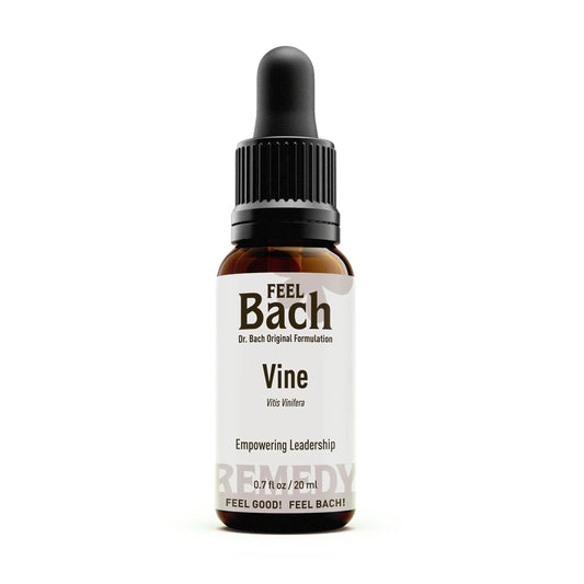 Vine