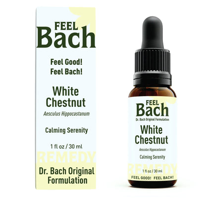 White chestnut flower essence