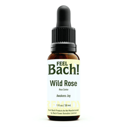 Wild Rose Flower Essence