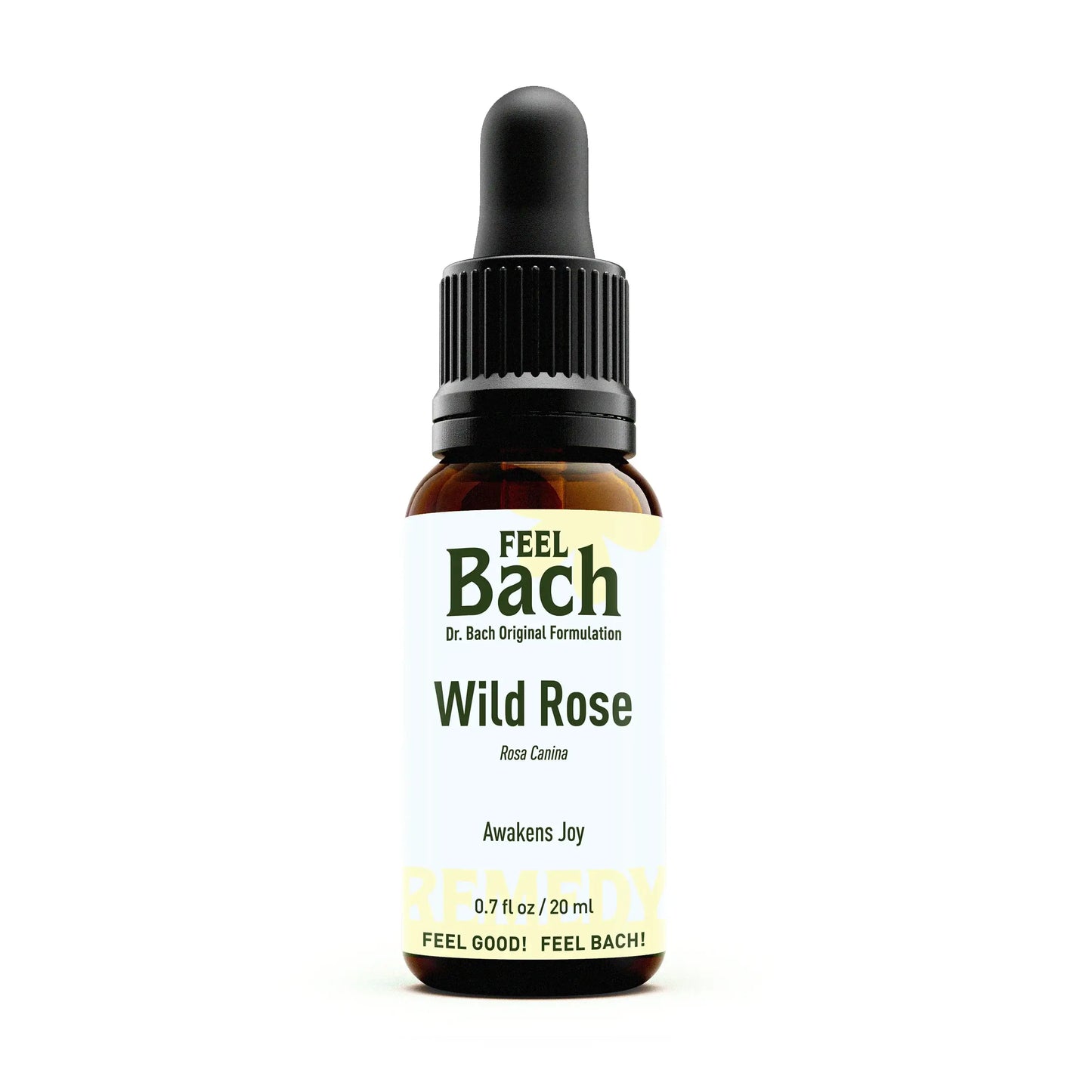 Wild Rose