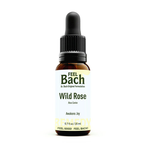 Wild Rose