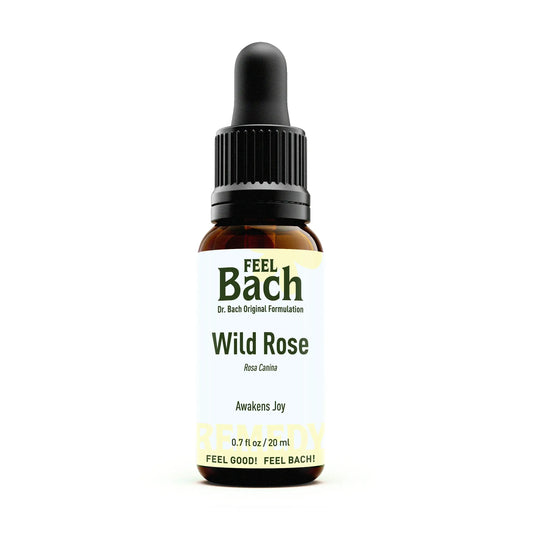 Wild Rose