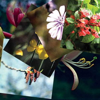 Bach Flower Personal Remedy