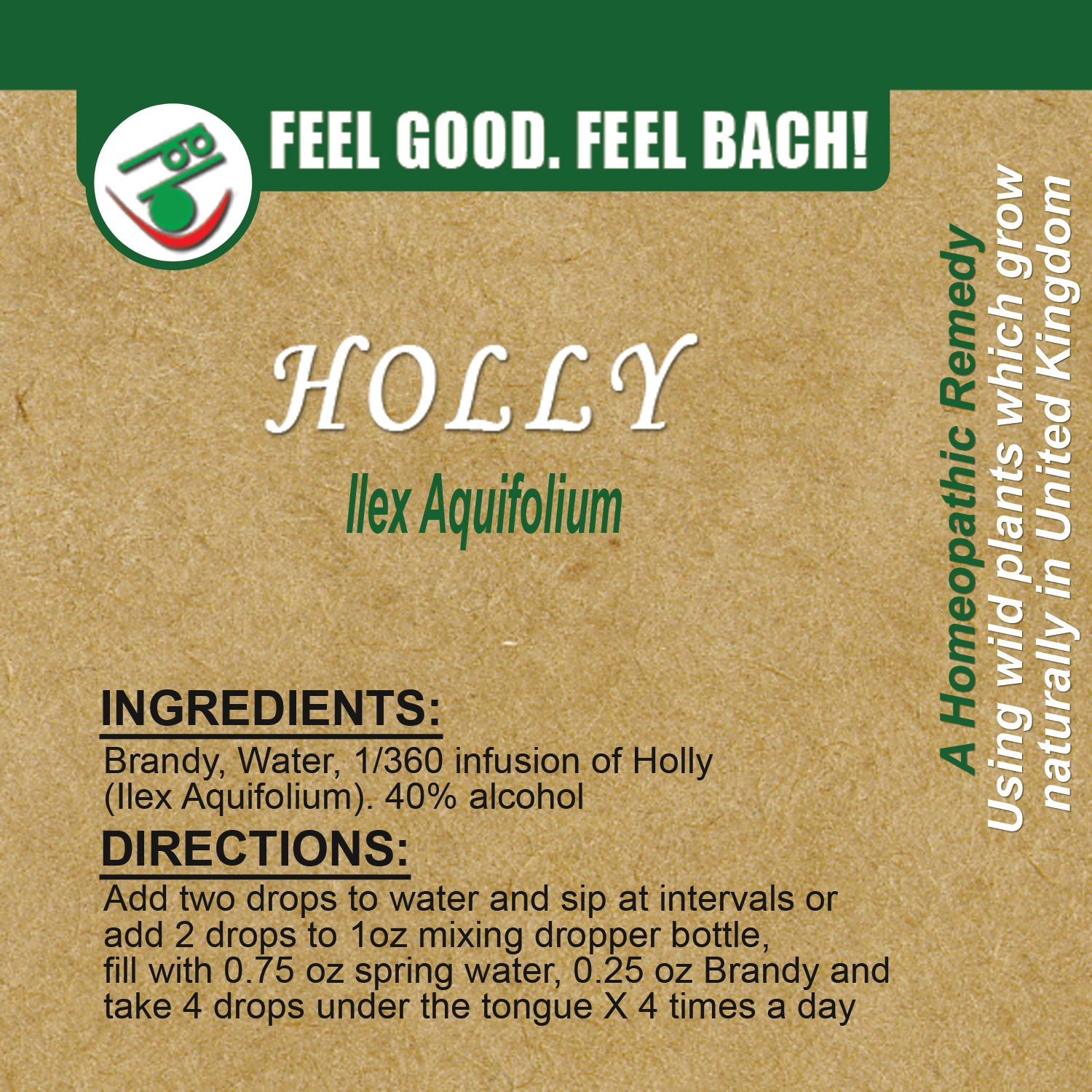 Bach flower holly