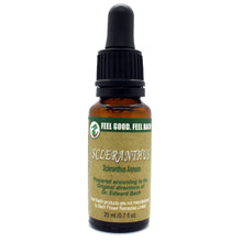 Load image into Gallery viewer, Scleranthus 20 ml
