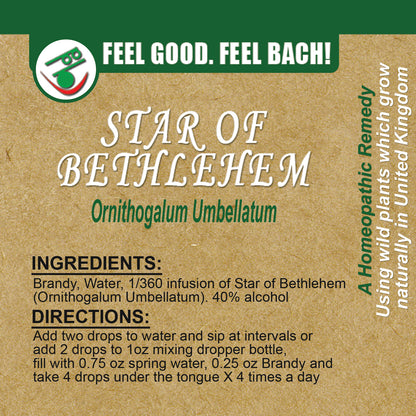 Bach flower star of bethlehem