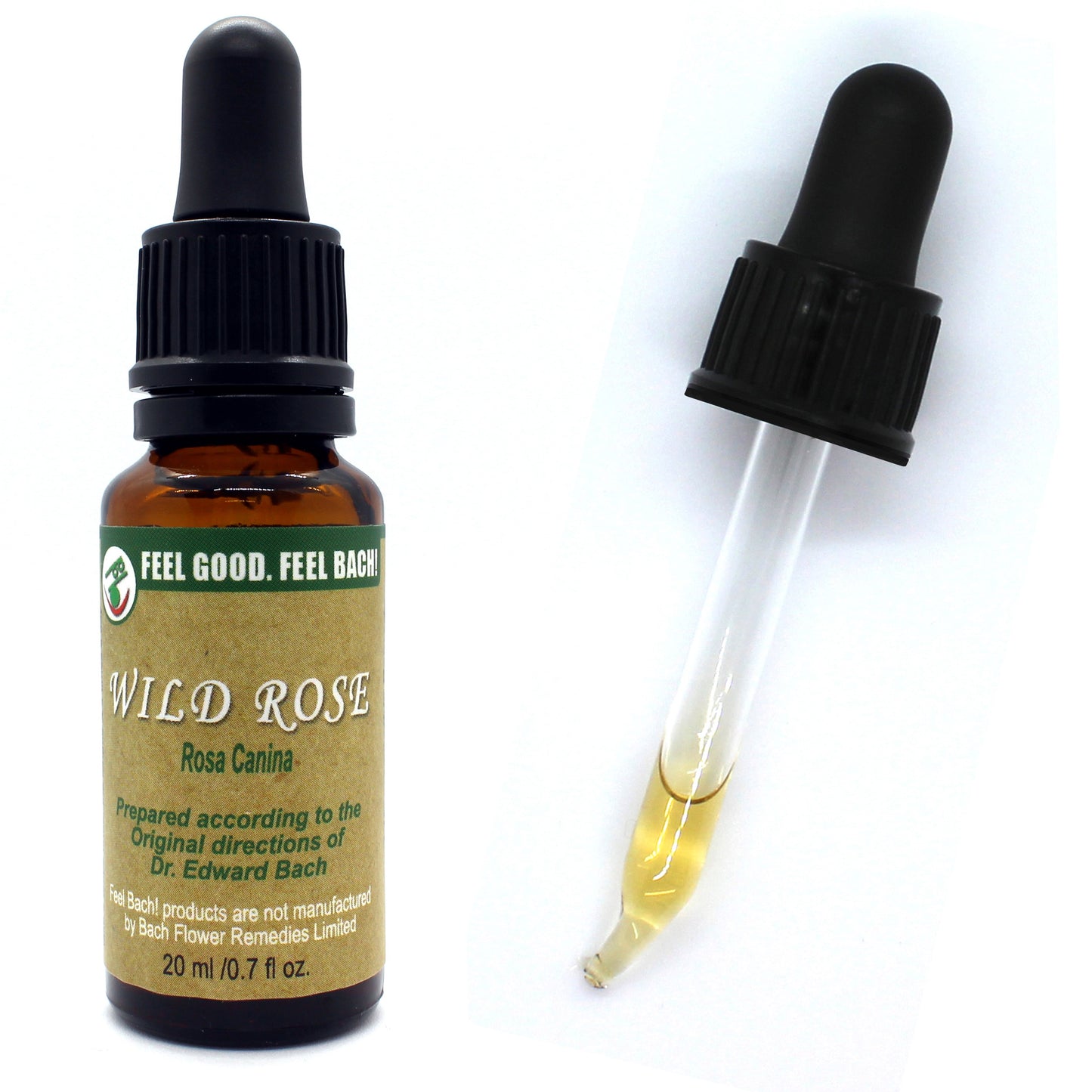 Bach flower wild rose
