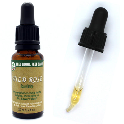 Bach flower wild rose